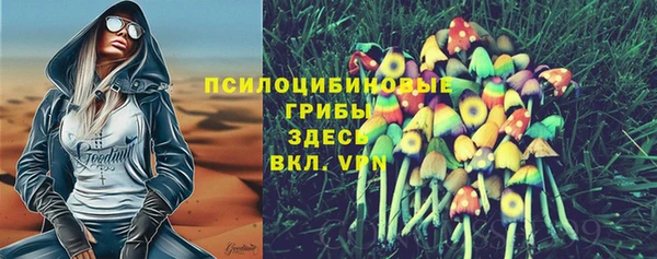героин Абаза