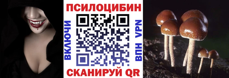 Галлюциногенные грибы ЛСД  дарнет шоп  Зерноград 